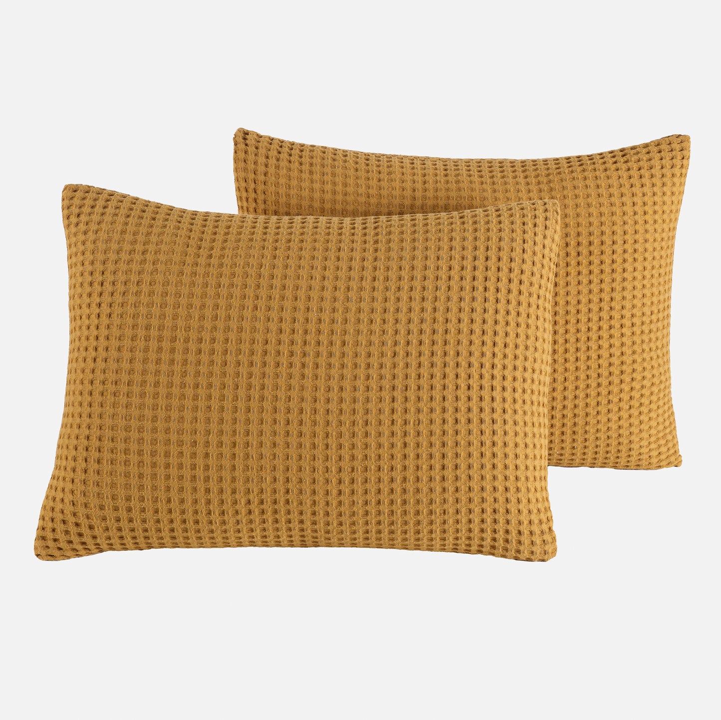 Chelsea Cotton Pillowcase - Pack of 2 - 50 x 75 cm