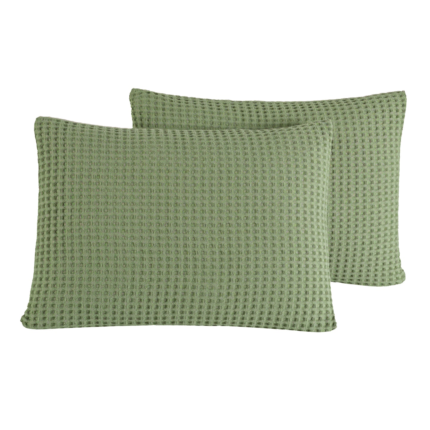 Chelsea Cotton Pillowcase - Pack of 2 - 50 x 75 cm